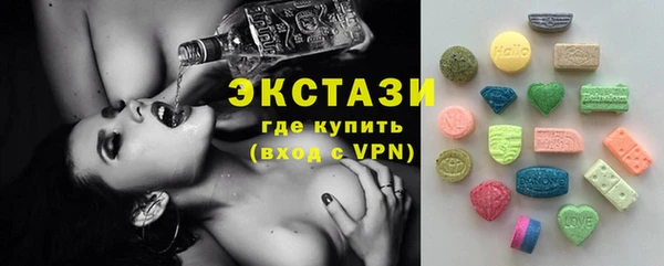 ECSTASY Гусь-Хрустальный